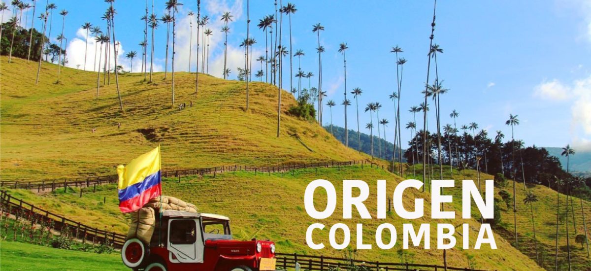 ORIGEN-COLOMBIA-RETIRO-DE-YOGA
